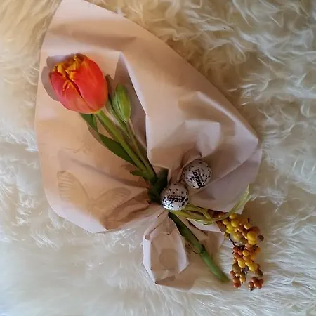 La Terrazza * Spoleto